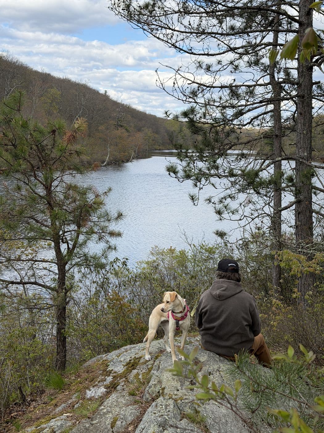 A quiet moment with the dog above the river